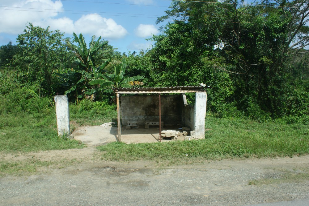 SONY DSC